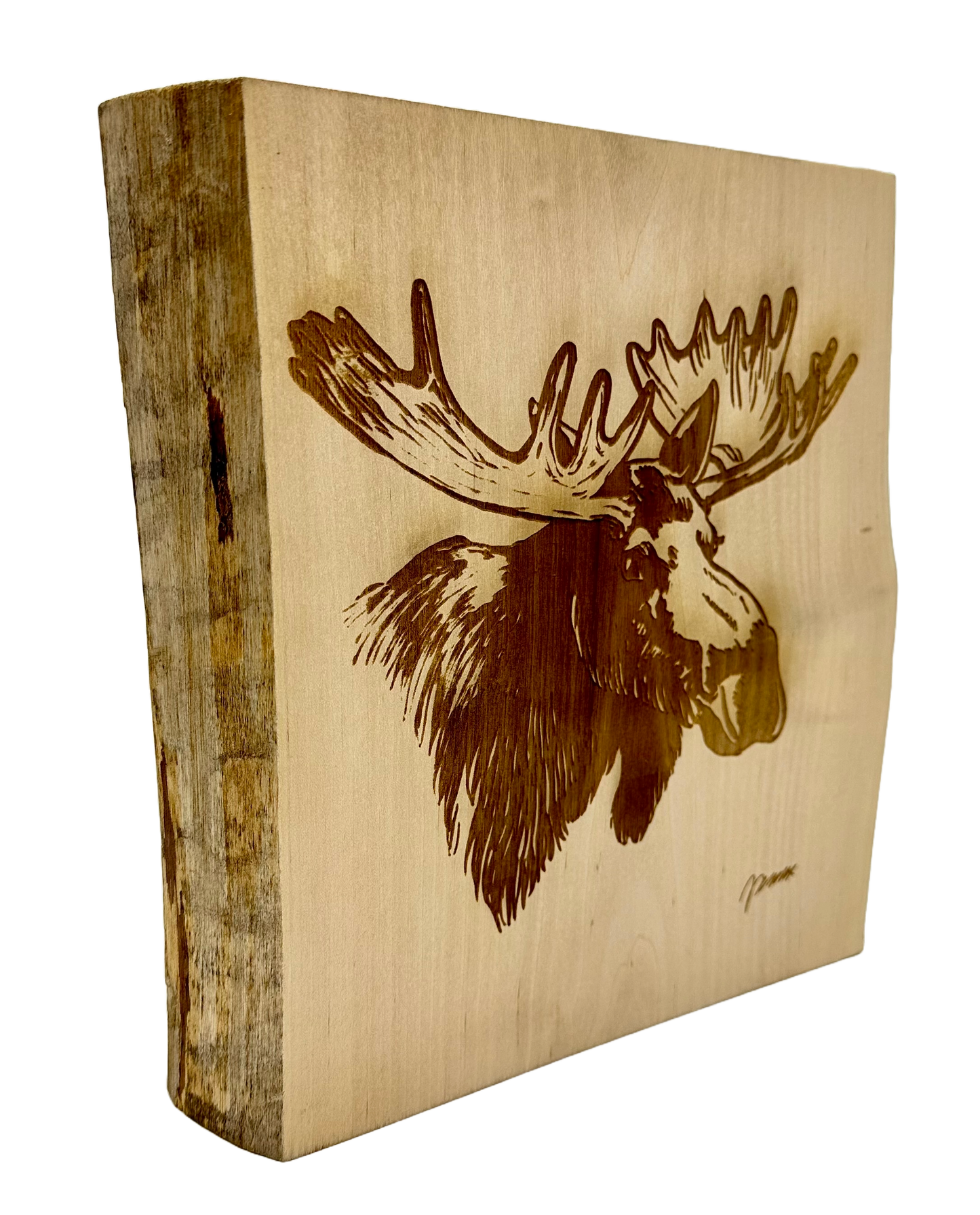 MOOSE HEAD DECOR