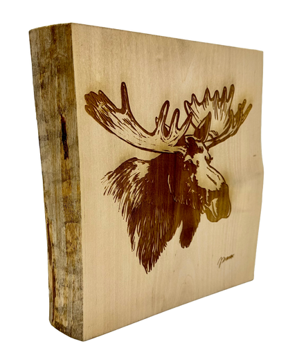 MOOSE HEAD DECOR